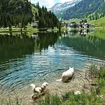 Appartement Jasmin