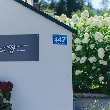 Jasmin דירה פלאכאו