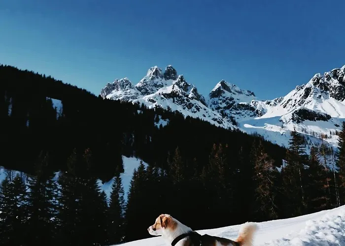 Jasmin Lägenhet Flachau